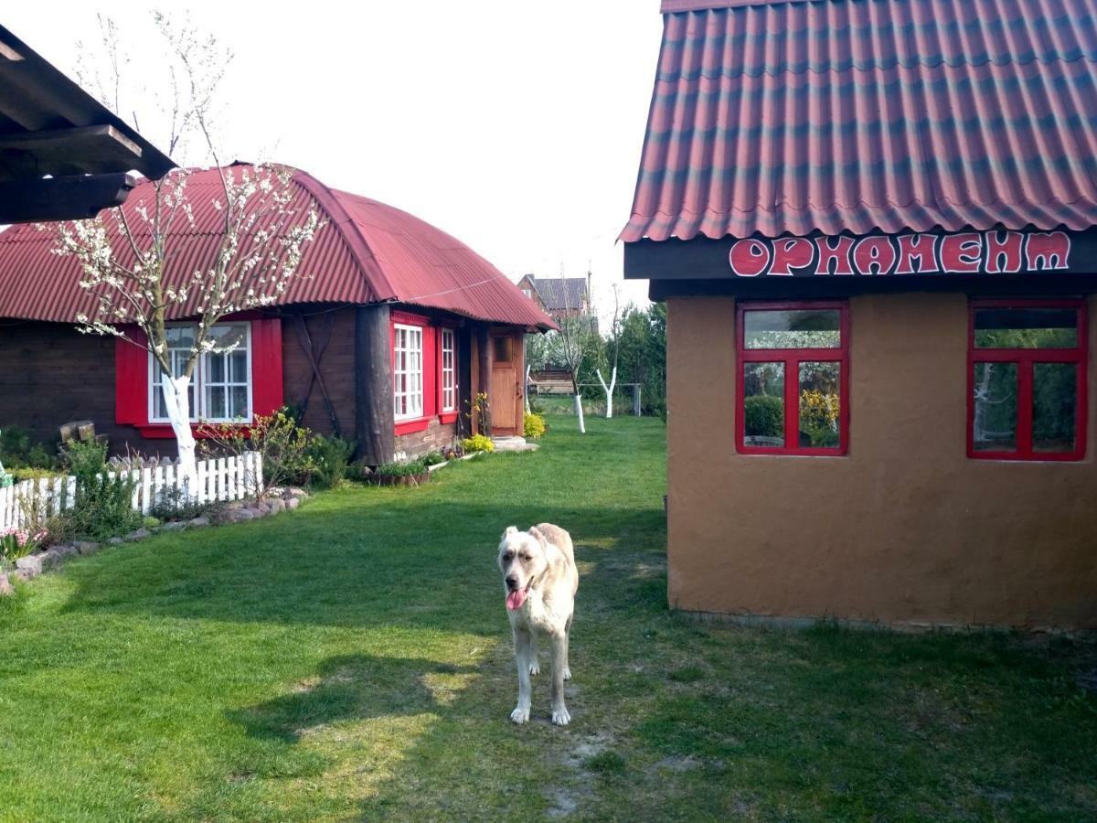 Садиба "Орнамент" Shatsk Екстериор снимка